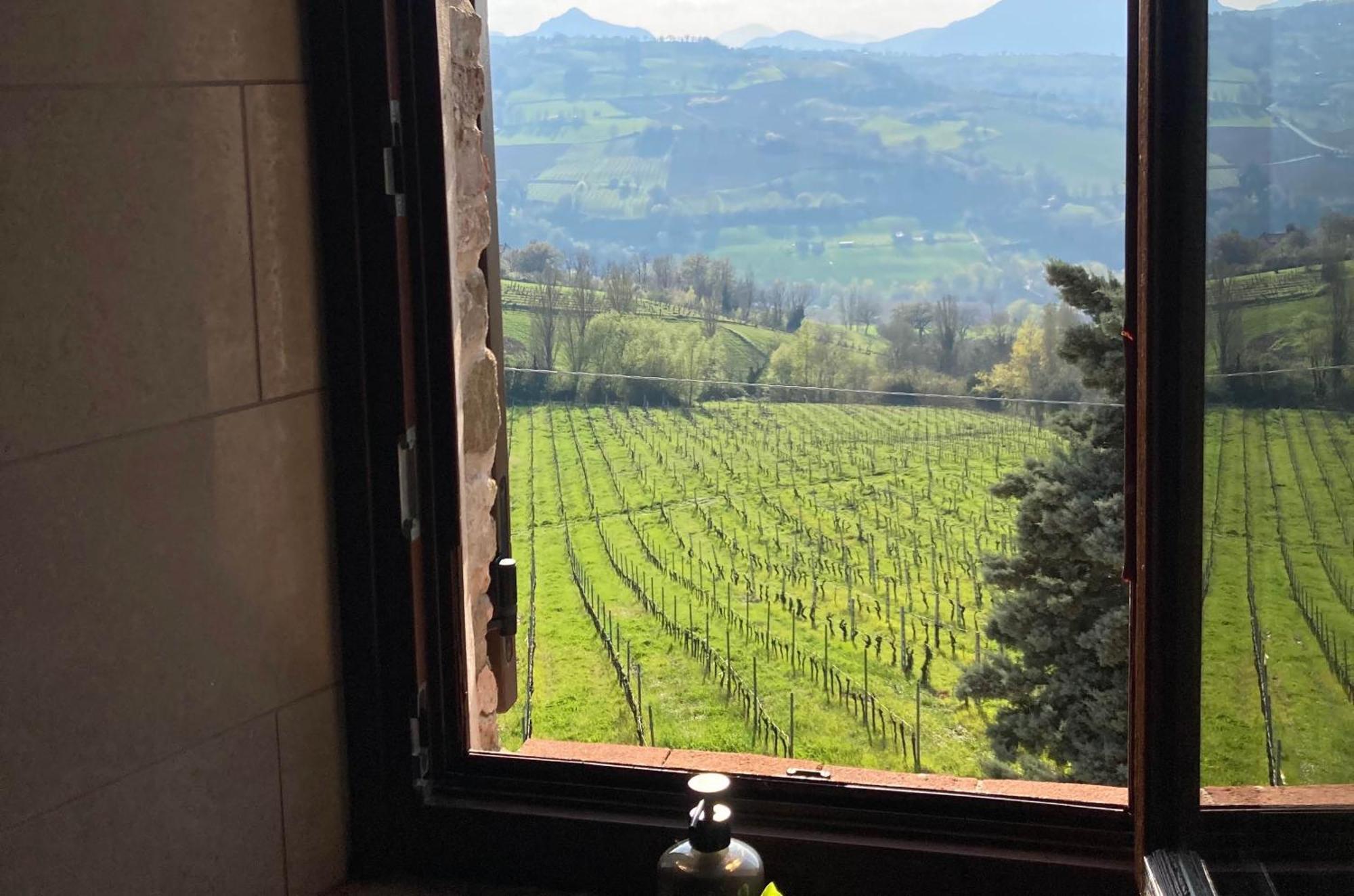 Cupramontana Villa Verdicchio - B&B With Wellness For Winelovers الغرفة الصورة