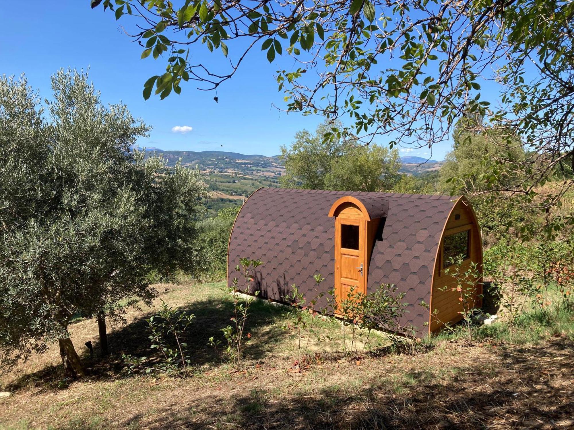 Cupramontana Villa Verdicchio - B&B With Wellness For Winelovers المظهر الخارجي الصورة