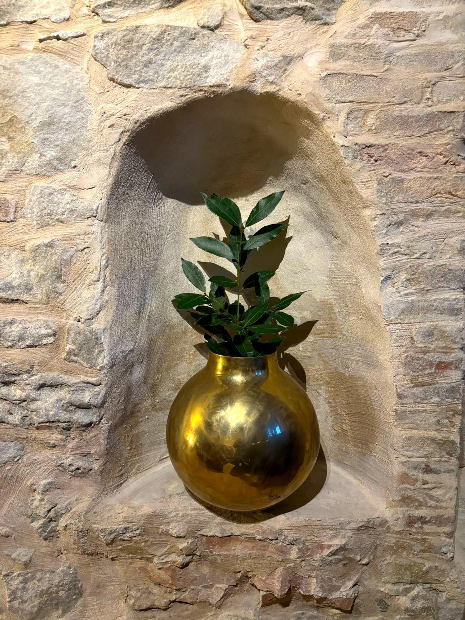 Cupramontana Villa Verdicchio - B&B With Wellness For Winelovers المظهر الخارجي الصورة